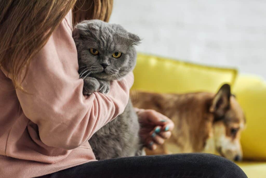 How Do Pets Help with Mental Health?